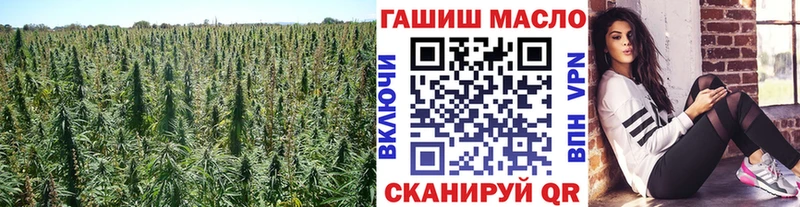 ТГК THC oil  закладки  Собинка 
